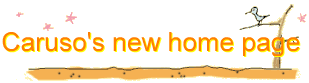 Caruso's new home page