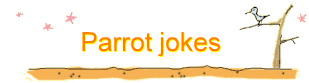 Parrot jokes