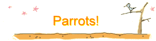Parrots!