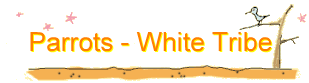 Parrots - White Tribe