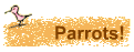 Parrots!