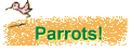 Parrots!