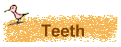 The Saga of Lotte and Lollo's Teeth