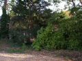 Garden_3.jpg
