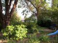 Garden_4.jpg